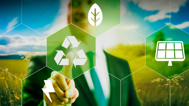 istock Business man pointing on recycling icon, green future, sustainable development concept 1292261120