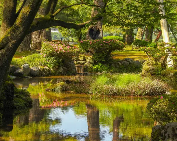 Beautiful pinks and greens highlight this beautiful pond in a formal Japanese garden in Kanazawa