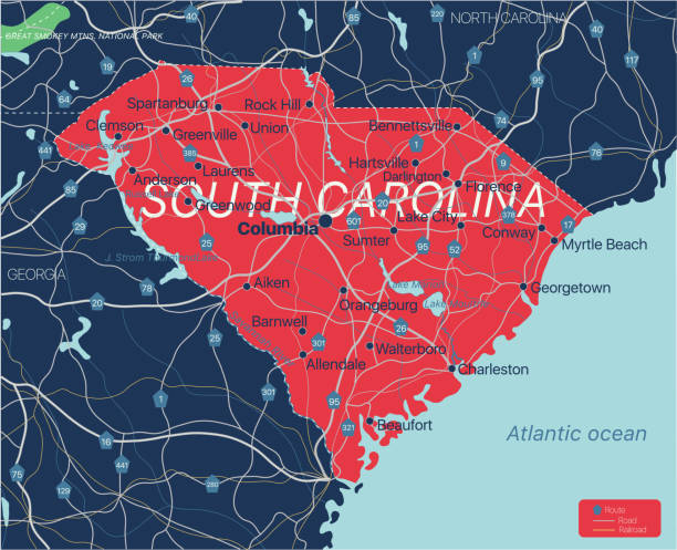 güney carolina eyaleti ayrıntılı editable harita - south carolina stock illustrations