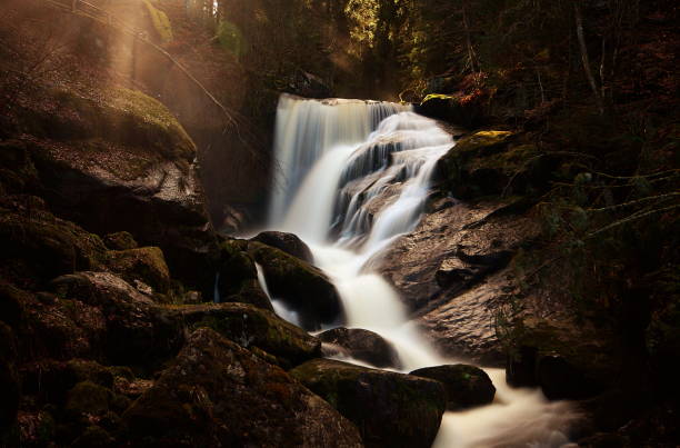 últimos raios solares na cachoeira - black forest waterfall triberg landscape - fotografias e filmes do acervo