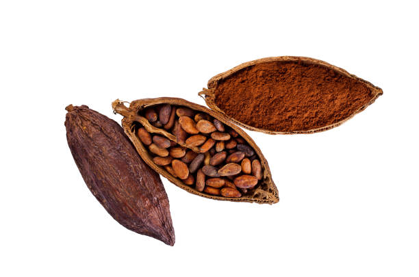 istock Cocoa pods with cocoa beans and cacao powder 1292266894