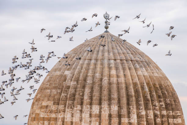istock The grand mosque dome /Mardin 1292268823