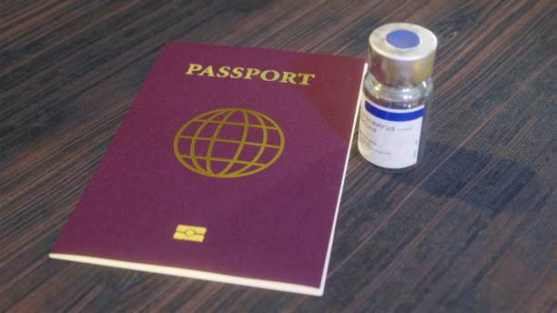 istock Coronavirus COVID-19 Vaccine Immunity passport 1292270709