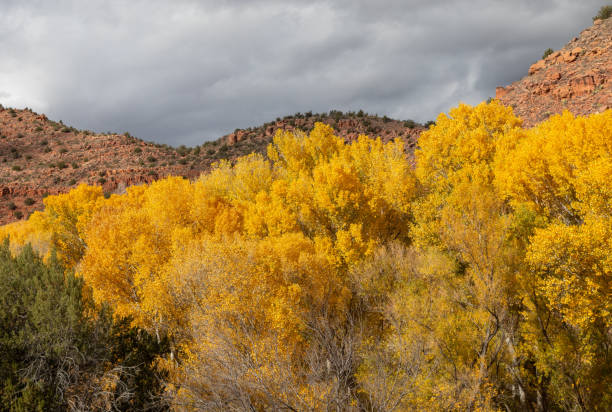 istock Autumn in the Verde River Canyon Arizona 1292271729