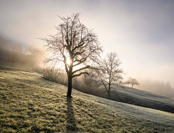 istock Sunrise at a cold morning in fall 1292274053