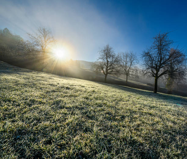 istock Sunrise at a cold morning in fall 1292274058