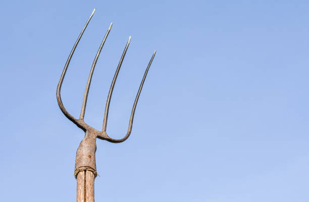 old garden forks