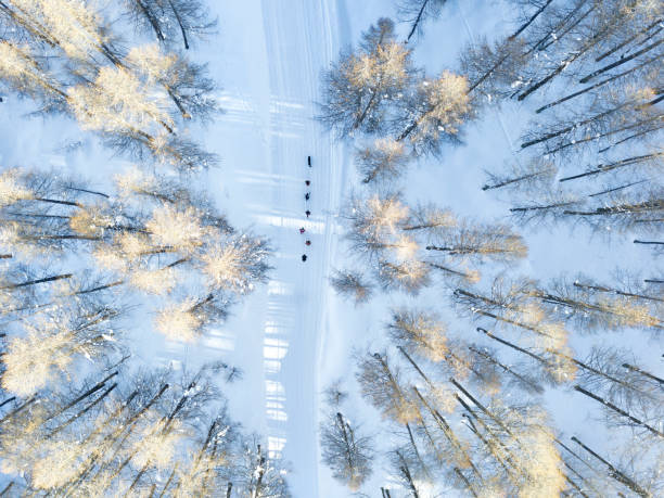 camminare nella neve - madesimo immagine foto e immagini stock