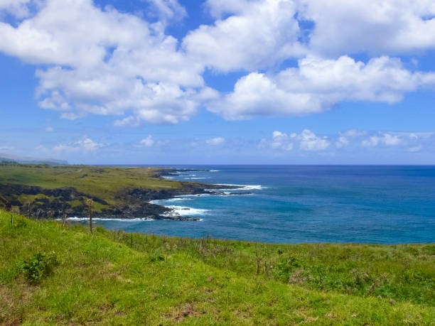 istock nature of Easter Island, landscape, vegetation and coast. 1292278080