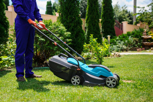 istock Gardener man is cutting the grass with the mower 1292282527