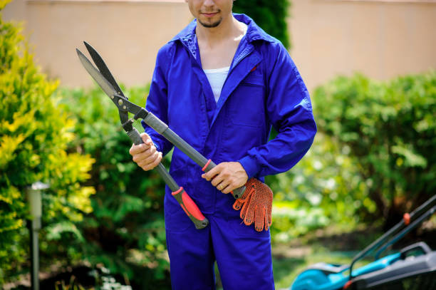 istock Gardener man is cutting the bushes 1292283808
