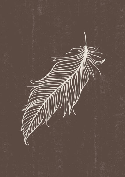 Abstract vintage feather print boho minimalist wall art vector art illustration