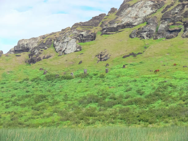 istock nature of Easter Island, landscape, vegetation and coast. 1292285564