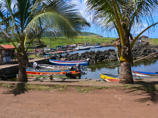 istock Palm trees on Easter Island. nature plants on Easter Island. 1292285655