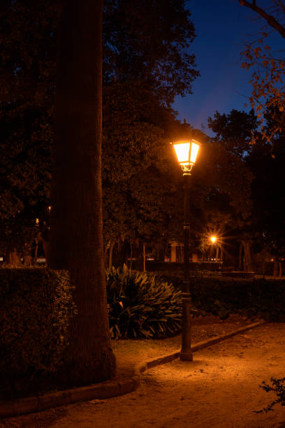 istock Lamp lit in park illuminating a tree 1292290803