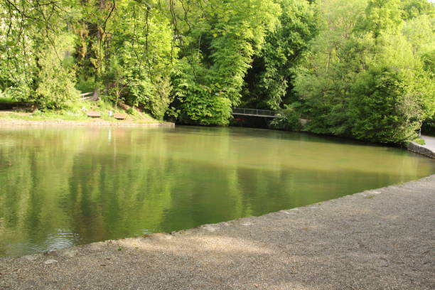 View of the Aachquelle, the largest source in Germany