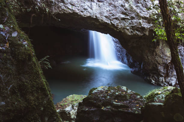 istock Waterfalls in Springbrook National Park 1292298963