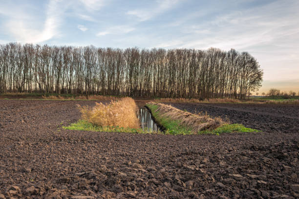 недавно вспаханое поле с канавой в середине - polder autumn dirt field стоковые фото и изображения