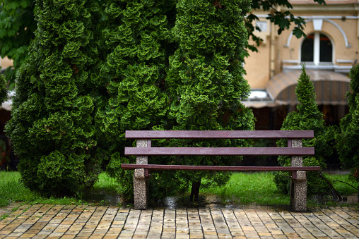 empty wooden bench in city square in rainy day