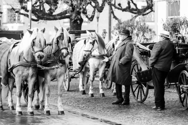 Horse drawn carriage vendors in Salzburg Austria Salzburg, Austria - November 8, 2018: Horse drawn carriage vendors in Salzburg Austria carriage photos stock pictures, royalty-free photos & images