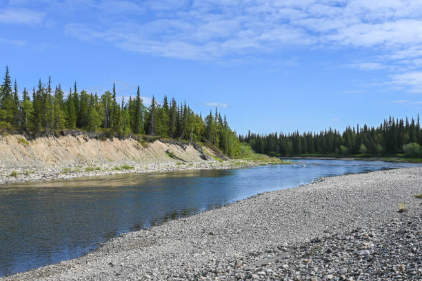istock Wild river in the taiga. 1292308218