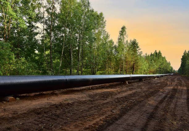 istock Natural Gas Pipeline Construction. 1292311597