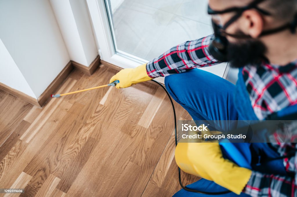 House pest control Professional exterminator in protective workwear spraying pesticide in apartment kitchen. Exterminator Stock Photo