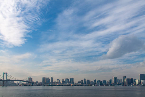 istock Panoramic view of Tokyo downtown area 1292320523