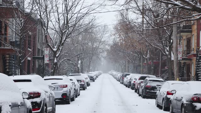 Montreal plateau residential district street scene with parked cars during a snow storm