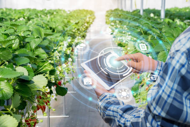 istock Innovation technology for smart farm system, Agriculture management, Hand holding smartphone with smart technology concept. 1292326887