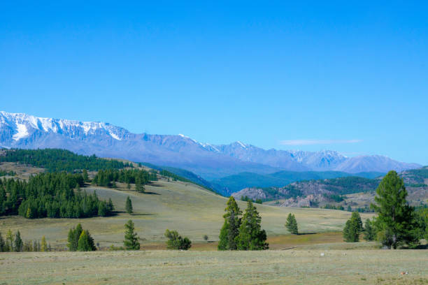 istock Green valley landscape and small forests with mountains on background 1292329140