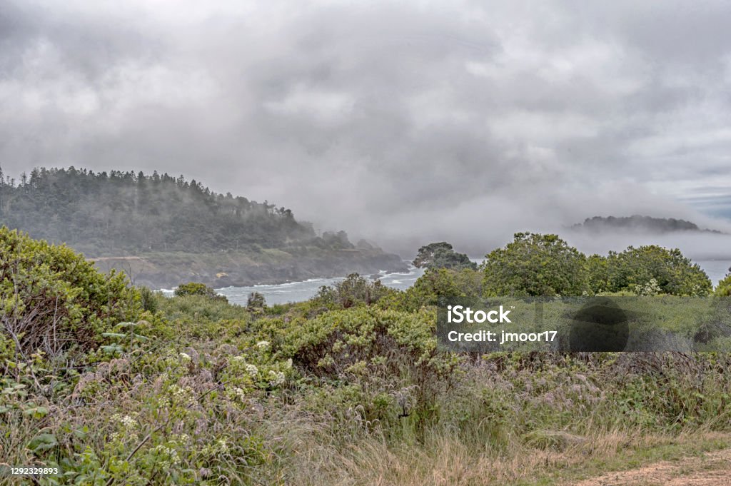 Ft Bragg Shoreline with Fog This picturesque view of the Pacific Ocean Shoreline at Ft Bragg California draws visitors from far and wide as this is a very important and famous travel destination especially the views with fog. California Stock Photo