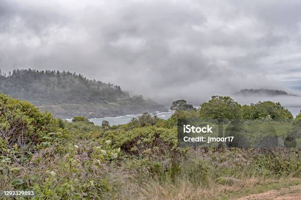 Ft Bragg Shoreline With Fog Stock Photo - Download Image Now - California, Fort Bragg, Breaking Wave