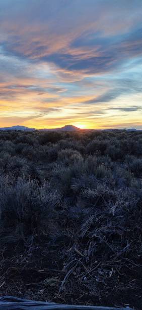 istock Tranquil pastel skies in the desert 1292330864
