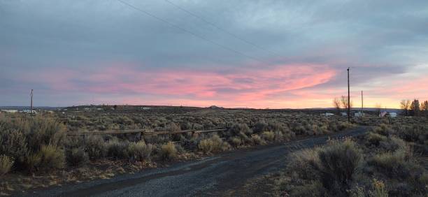 Pink pastel sky over the desert