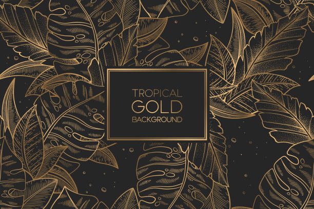 ilustrações, clipart, desenhos animados e ícones de padrão sem costura vetorial com palma exótica dourada e folhas de monstera isoladas no fundo preto. design elegante para impressão, tecido, papel de parede, cartão, convite - gold leaf