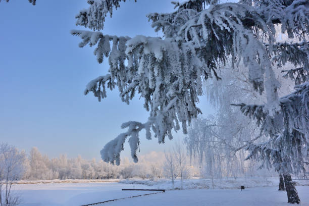 Winter Siberian city park, Omsk region