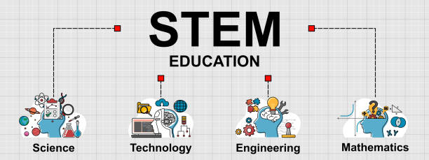 ilustrações de stock, clip art, desenhos animados e ícones de vector banner of stem education topic. - stem assunto