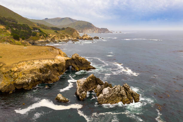 istock Garrapata State Beach - California 1292339324