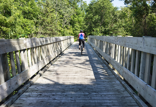 USA, Adult, Woman, Summer, footpath, forest, cycling