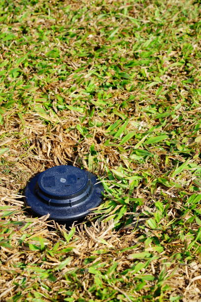 istock Garden water spring green lawn 1292341074