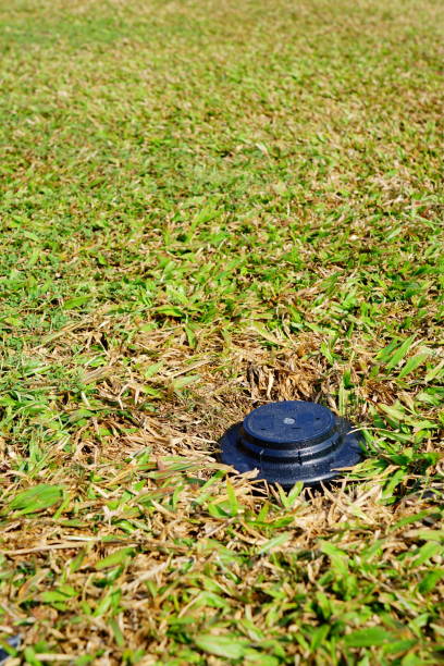 istock Garden water spring green lawn 1292341077