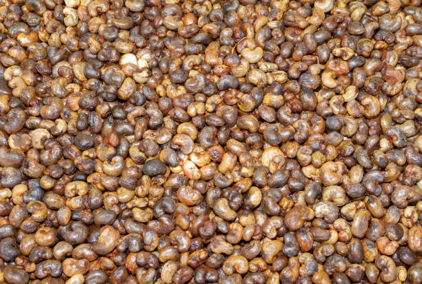 istock Unhulled cashew nut background,thailand 1292342806