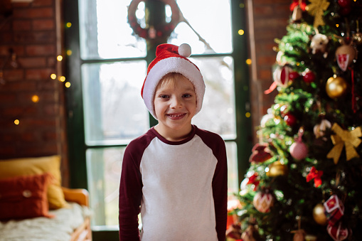 Portrait of a cute smiling boy standing in front of the Christmas tree in his living room