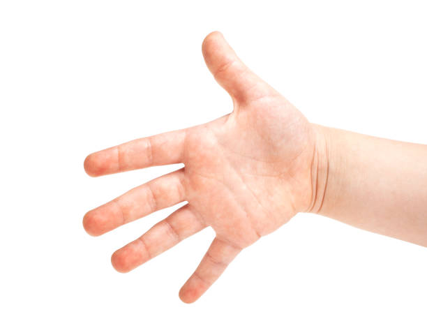 istock Girls hand isolated on a white background 1292351145