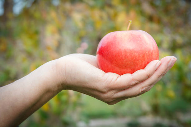 istock Woman's hand holding red apple against green natural background. 1292353553