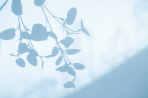 Shadowing of the blue countryside