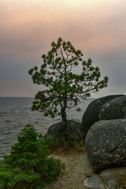istock Secret Cove - Lake Tahoe 1292356987