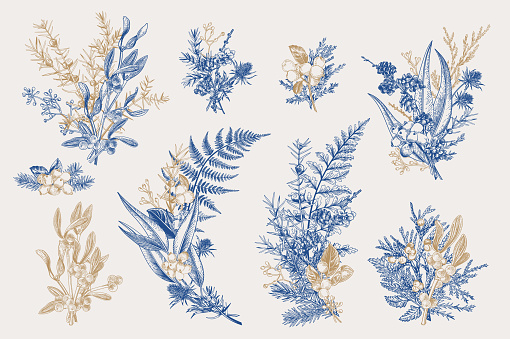 Winter set. Botanical vector illustration. Floristic bouquets. Blue and gold.