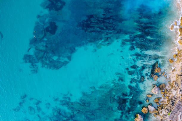 istock Ocean waves hitting a rocky beach. View from above. 1292359346